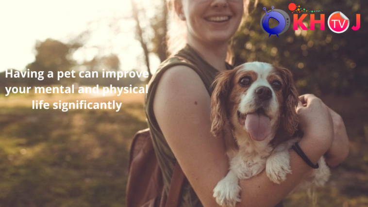 pet can improve your mental and physical life