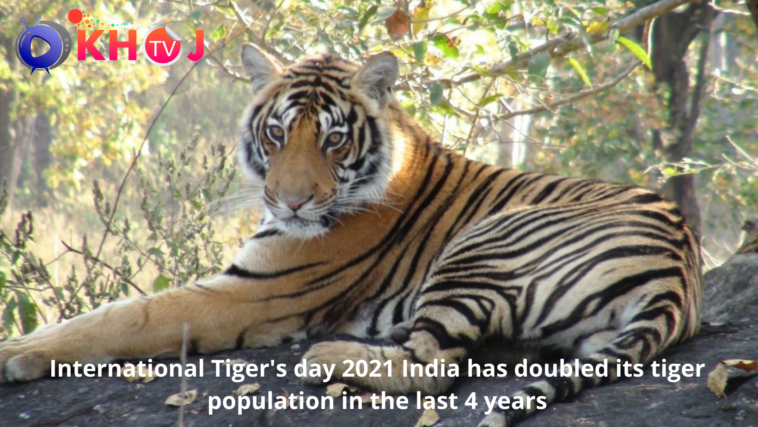 International Tiger's day